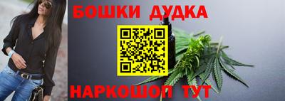 гашик Славгород
