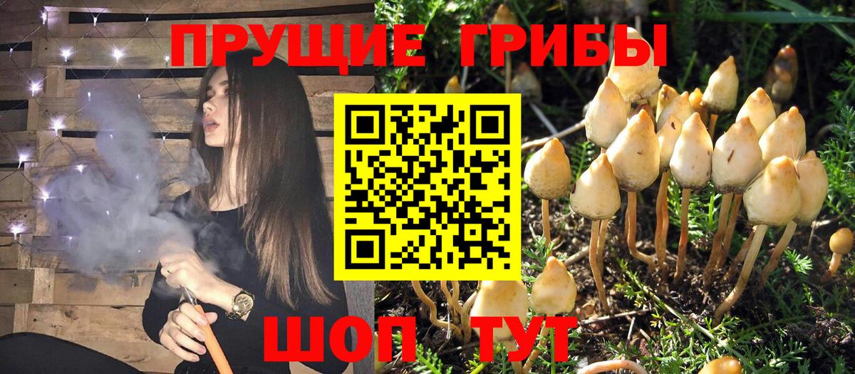 цены наркотик  Псилоцибиновые грибы мицелий  Вход с VPN  Набережные Челны 