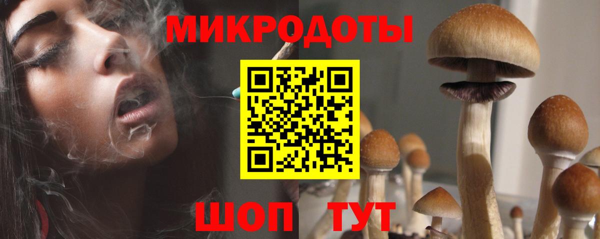 Псилоцибиновые грибы прущие грибы Набережные Челны